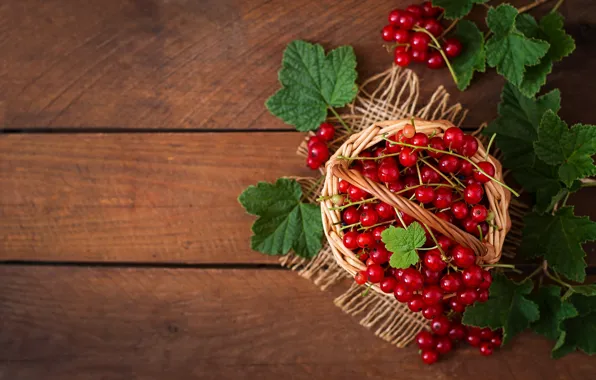 Picture Leaves, Berries, Basket, Currants
