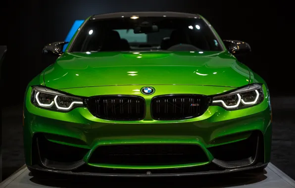 Picture BMW, Light, Green, Front, Face, Sight, LED, F81