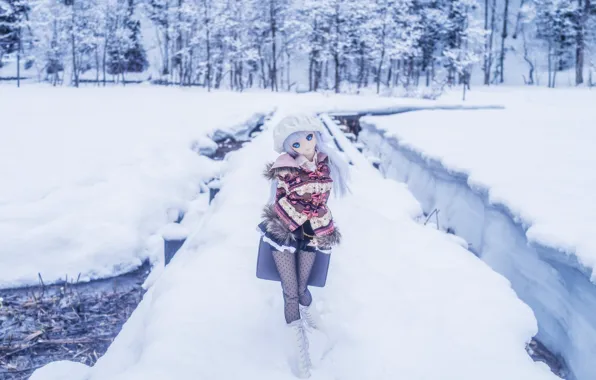 Picture winter, snow, toy, doll