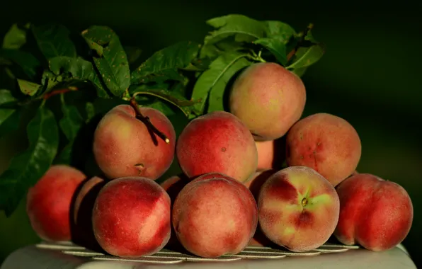 Picture harvest, fruit, peaches
