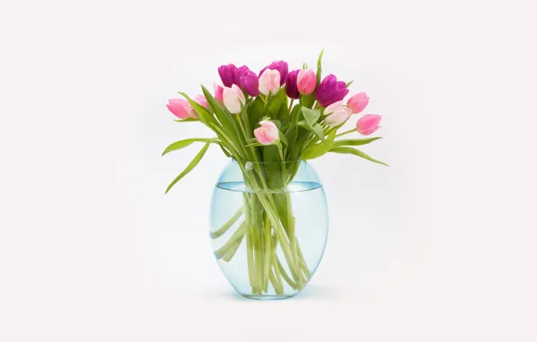 Picture bouquet, tulips, vase