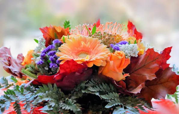Picture leaves, rose, bouquet, gerbera