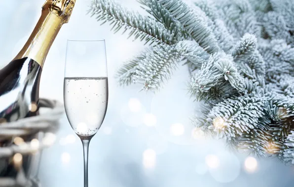 Picture winter, snow, branches, tree, New Year, glasses, frost, champagne, happy, winter, snow, New Year, fir …