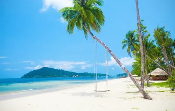 Picture sand, sea, beach, the sun, palm trees, shore, island, summer, beach, sea, island, sand, paradise, …
