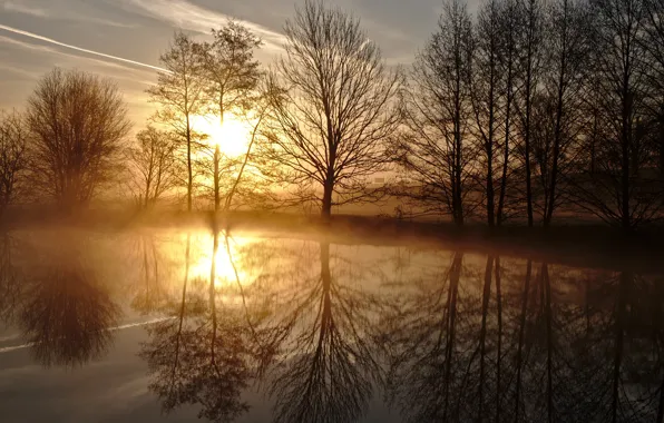 Picture trees, pond, reflection, sunrise, dawn, spring, morning