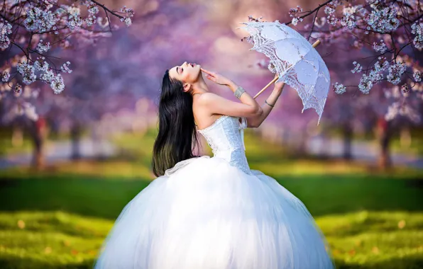 Picture girl, trees, branches, pose, umbrella, mood, spring, garden, the bride, flowering, wedding dress