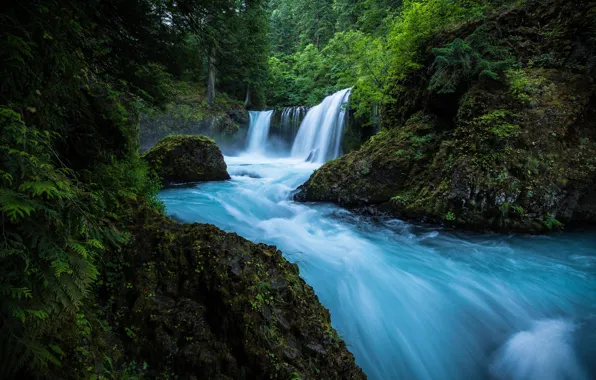 Picture forest, river, waterfall, moss, Washington, Washington, Columbia River Gorge, Little White Salmon River, Spirit If, …
