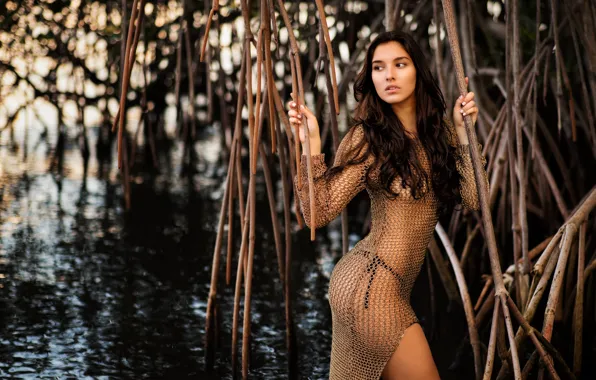 Picture water, branches, pose, figure, dress, Camila, mangroves, Christopher Rankin