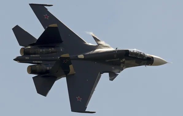 Picture fighter, flight, Su-30CM