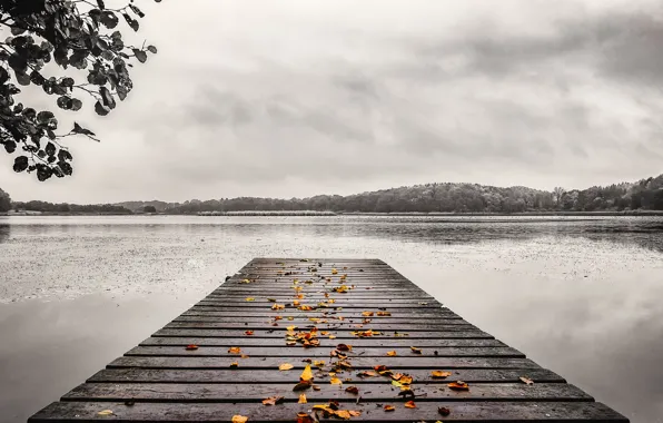 Picture autumn, leaves, bridge, lake