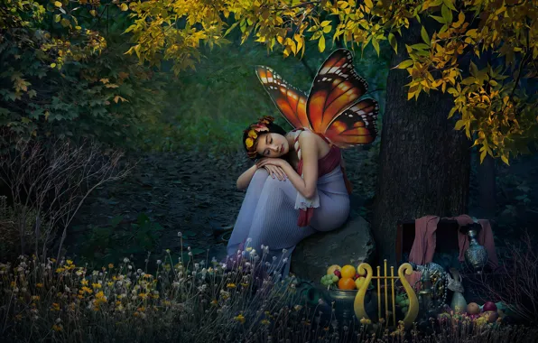 Picture forest, girl, nature, butterfly, elf, wings, fantasy, harp, Asian