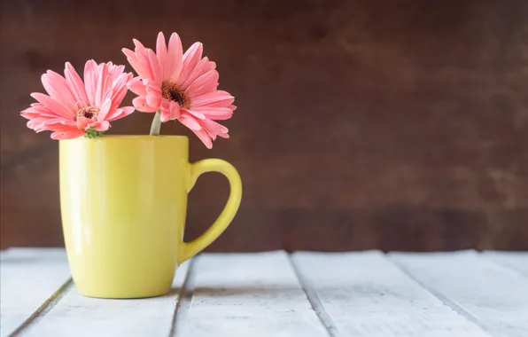 Picture flowers, mug, chrysanthemum, wood, pink, flowers, mug