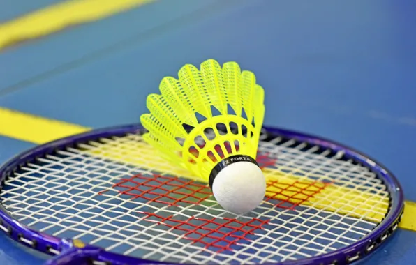 Wallpaper macro, racket, badminton images for desktop, section спорт -  download