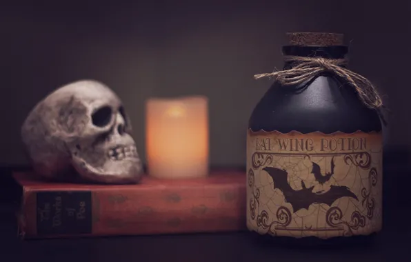 Picture skull, candle, book