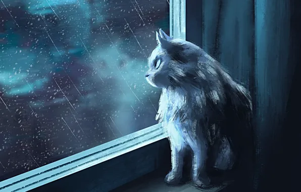 Picture cat, rain, interior