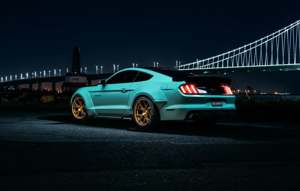 Picture Mustang, Ford, Muscle, Car, Night, Wheels, Rear, Bule, Rohana