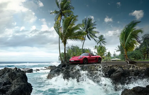 Picture wave, palm trees, the ocean, rocks, Porsche
