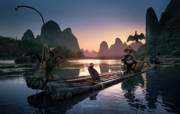 Picture birds, river, people, boat, boats, China, fishermen, the raft, cormorants, district Guangxi Joins
