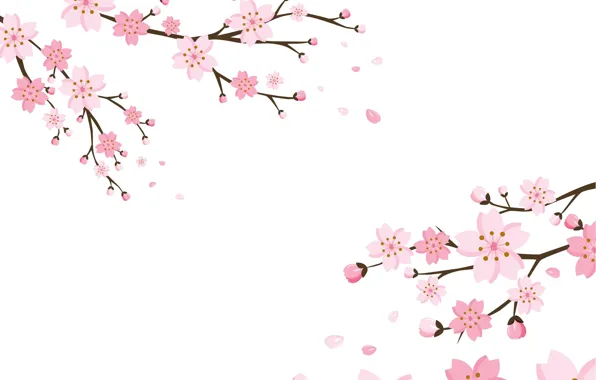 Picture background, Wallpaper, flowers, blossom, background, cherry, texure