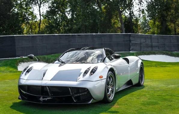 Picture green, Pagani, To huayr, lawn