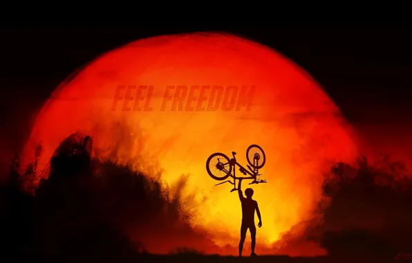 Picture freedom, the sun, sunset, bike, sport, silhouette, cyclist, sport, bike, bicycle, bike, sunset, freedom, cycle, …