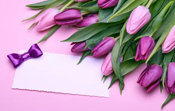 Picture bouquet, tulips, love, pink, bow, fresh, pink, flowers, romantic, tulips, gift, purple