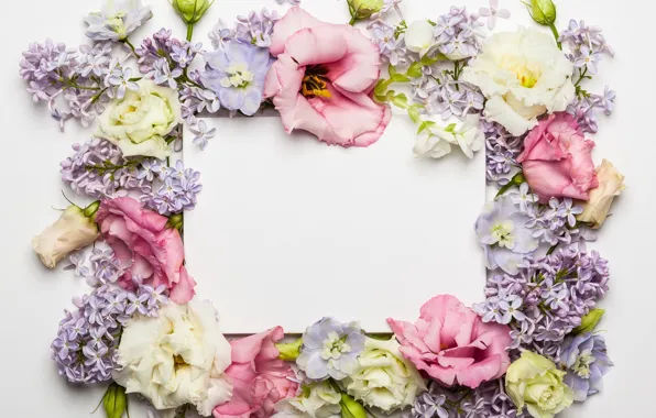 Picture flowers, roses, rose, wood, pink, flowers, beautiful, lilac, composition, lilac, frame, floral