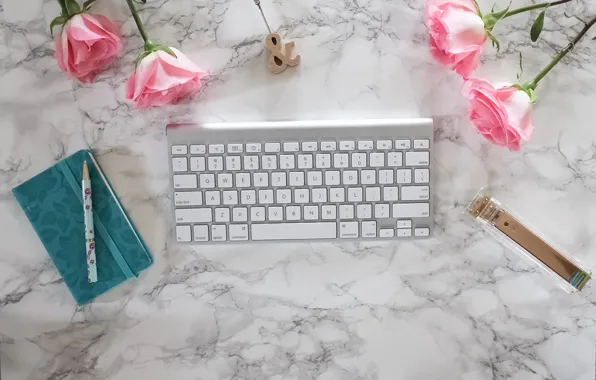 Picture roses, handle, Notepad, pink, flowers, roses, keyboard, marble