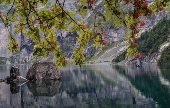 Picture autumn, branches, lake, stones, boat, Switzerland, fishermen, Switzerland, Rowan, lake Asinense, Oeschinen Lake, The Bernese …