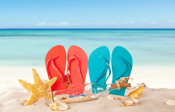 Picture sand, sea, beach, summer, the sun, shell, summer, beach, vacation, sand, slates, vacation, starfish, seashells