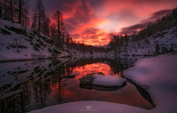 Picture winter, forest, snow, trees, sunset, lake, the evening