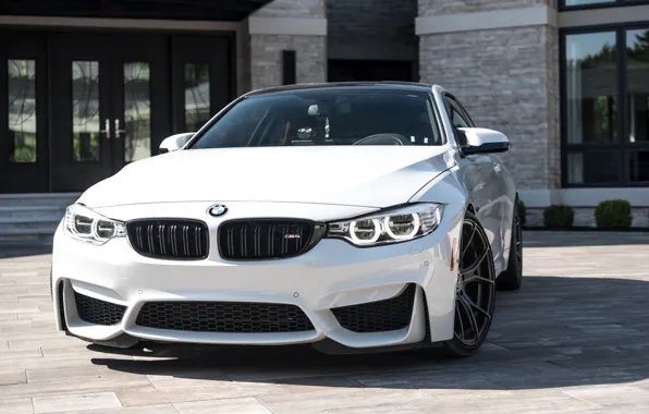 Picture BMW, Beautiful, White, F82, Sight