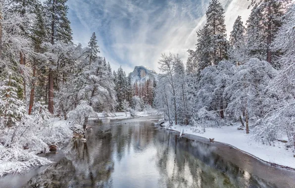 Picture winter, forest, snow, trees, river, mountain, CA, California, Yosemite Valley, Yosemite National Park, Half Dome, …