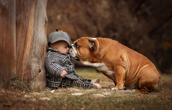 Picture dog, boy, baby, child, English bulldog, Anna Ipatiev