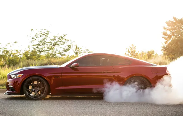 Picture Mustang, Ford, Speed, Smoke, Muscle car, Road