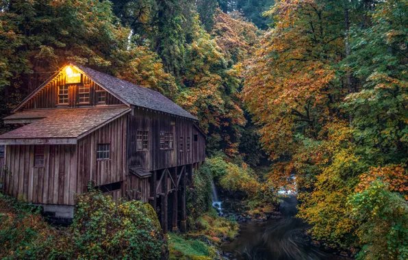 Picture autumn, forest, river, water mill, Washington, Washington, Woodland, Woodland, Cedar Creek Grist Mill