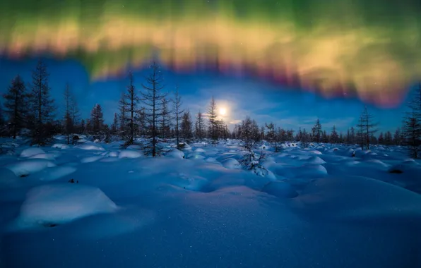 Picture winter, the sky, snow, trees, Northern lights, the evening, the snow