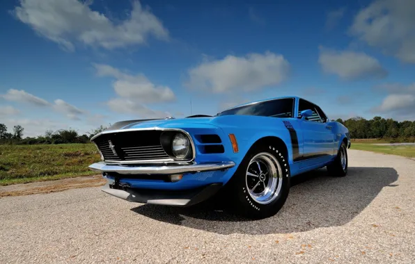 Picture Boss 302, Ford Mustang, 1970, Fastback
