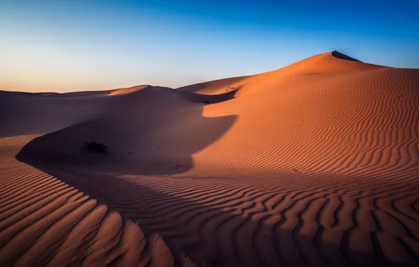 Picture desert, Abu Dhabi, UAE