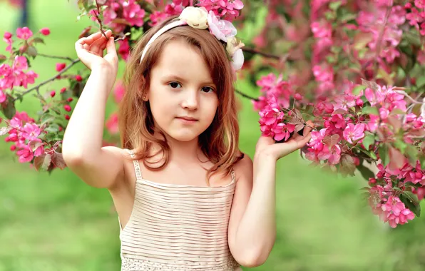 Picture flowers, tree, spring, girl