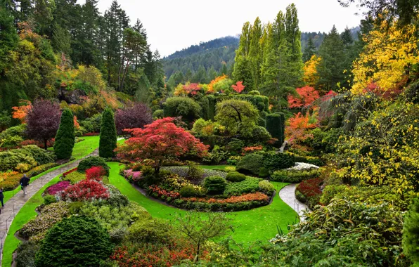 Picture nature, Park, shrubs, landscaping
