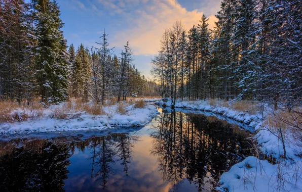 Picture winter, forest, water, snow, trees, reflection, the snow, river, Sweden, Arvika