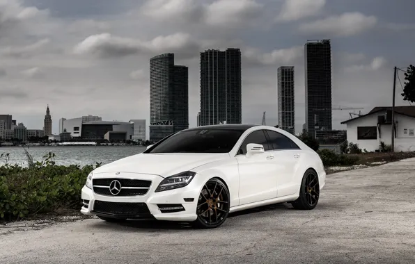 Picture Mercedes, wheels, Before, CLS550, Garde