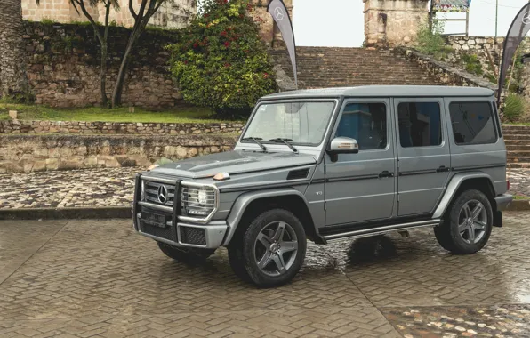 Picture drops, stones, grey, Mercedes-Benz, pavers, SUV, ladder, stage, 4x4, dampness, G-Class, 2017, G 500, V8