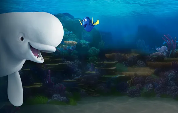 Wallpaper cinema, movie, animal, friendship, fish, film, whale, Dory,  Finding Dory, beluga whale images for desktop, section фильмы - download