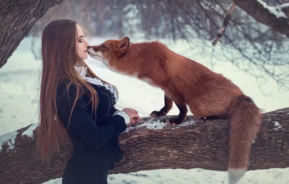 Picture girl, tree, the situation, kiss, Fox, red, long hair, Sergei Grablev