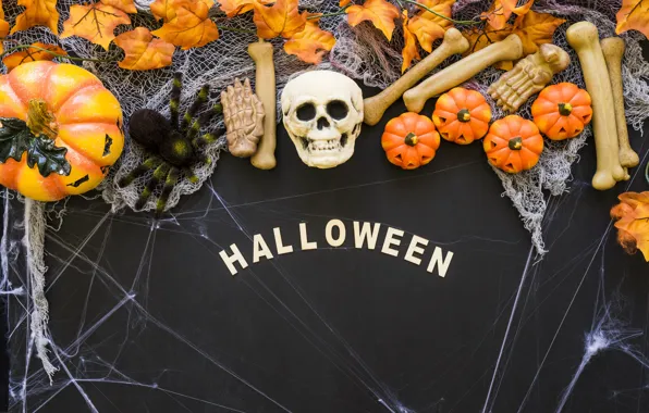 Picture skull, web, bones, Halloween, pumpkin, sake, Halloween, pumpkin, bones