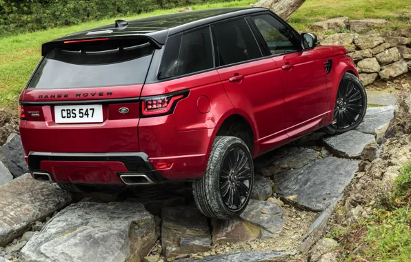 Picture stones, vegetation, SUV, Land Rover, side, feed, black and red, four-door, Range Rover Sport Autobiography