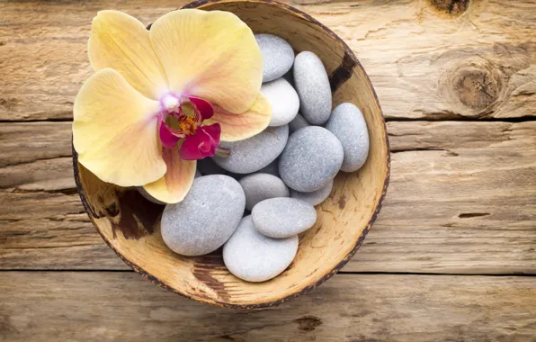 Picture stones, flower, yellow, wood, Orchid, orchid