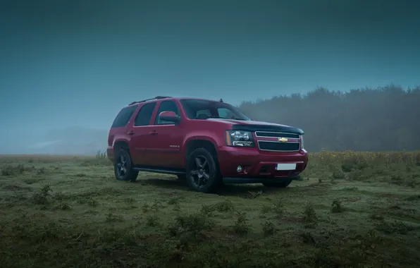 Picture chevrolet, fog, tahoe